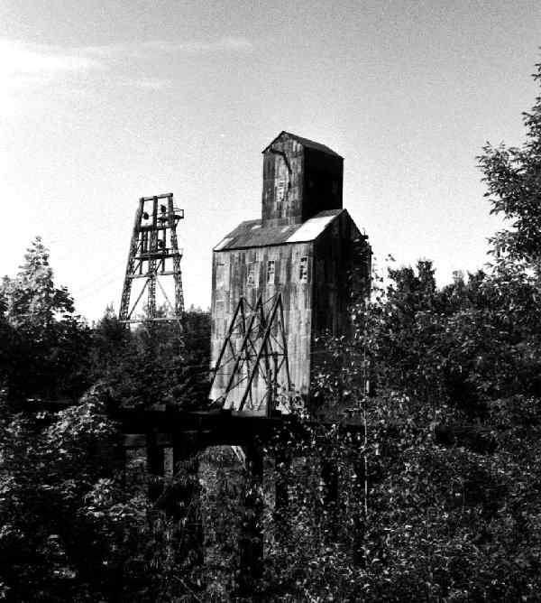 meierchampc.jpg (43531 bytes)