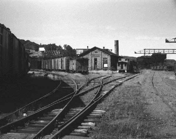 meieryard.jpg (75885 bytes)