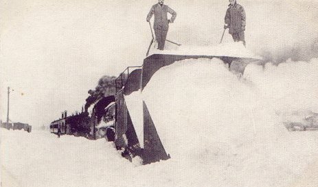 plows.jpg (30025 bytes)
